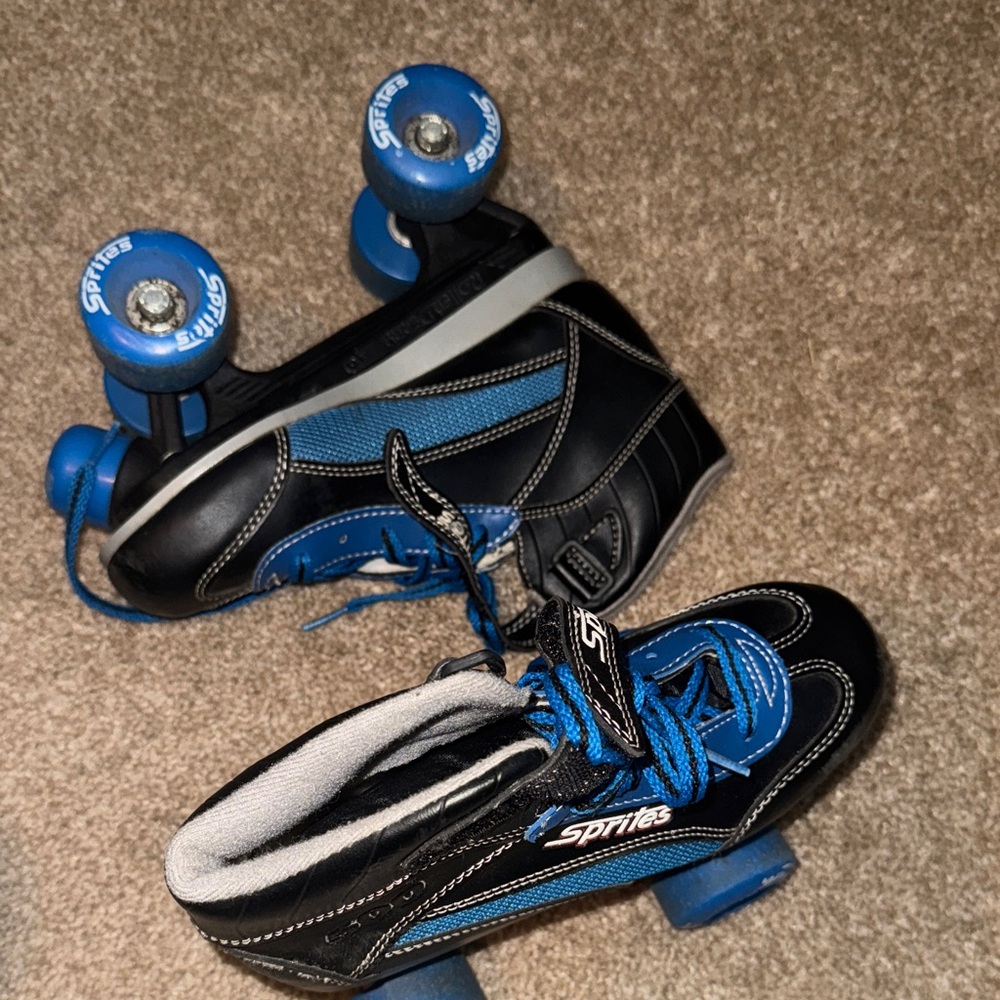 Black and Blue Roller Skates